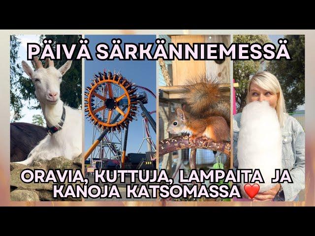 Särkänniemessä/ Oravan poikasta ja muita eläimiä katsomassa/ Ravitsemusterapeutilla käynti