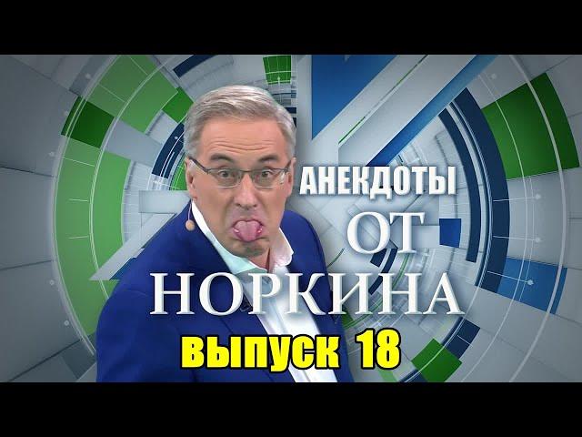 Новые анекдоты от Норкина. Часть 18