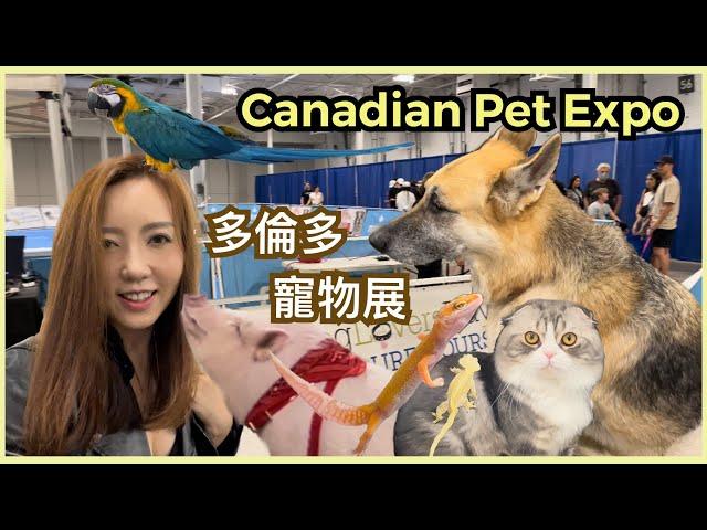 多倫多寵物展 Canadian Pet Expo@annalui #多倫多生活