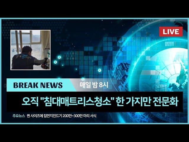 침대 매트리스 청소 세탁 전문 침대청소박사