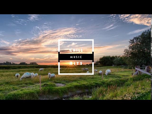 NAWN - I Really Like You | Chill music hits 