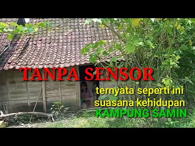 SUKU SAMIN BOJONEGORO TERNYATA SEPERTI INI KAMPUNGNYA