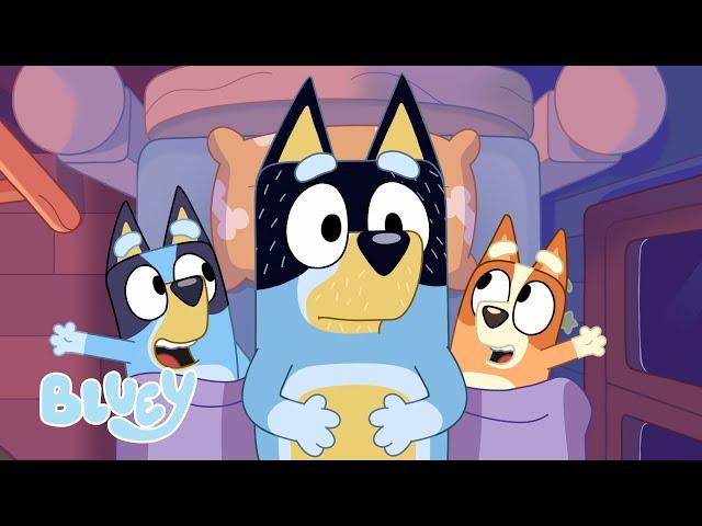 Los Tres Cerditos  | BLUEY CORTOS | Bluey - España Oficial