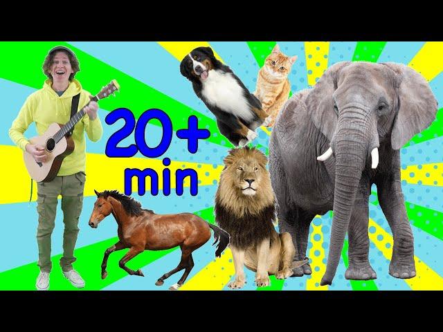 Study English Online for Kids | Animal Songs for Learning | Learn with Matt