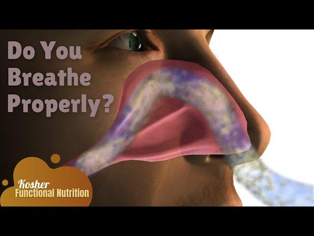 Breathing Techniques That Will Keep You Healthy | Functional Nutrition with Dr. Bek