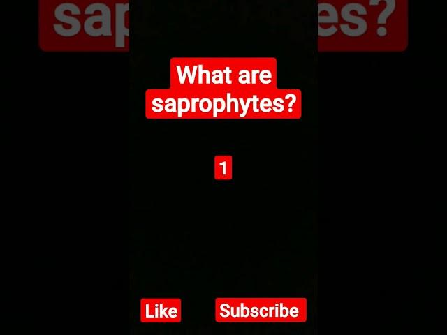 #saprophytes#shorts#youtubeshorts#youtubeshorts #edustore #