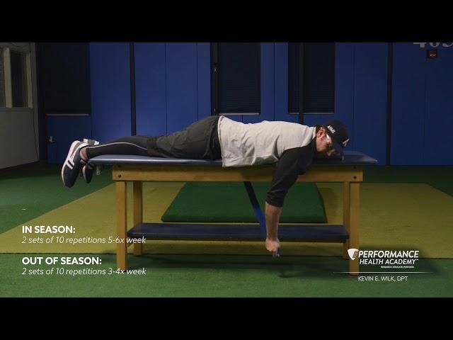 Prone Ys (Exercise Only)