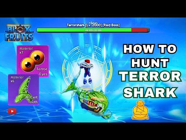 How to Hunt Terror Shark in Blox Fruit   Quick Guide