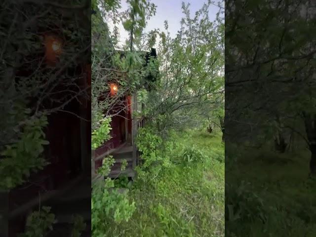 Продается дача с выходом в лес на уч. 4.4 сотки в СНТ "Родник-1"  д. Арсаки, Александровский район