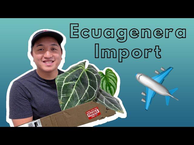 My First Imports!! | Ecuagenera Unboxing