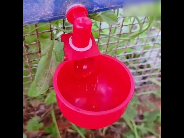 PoulCups – Set for automatic water provision for poultry