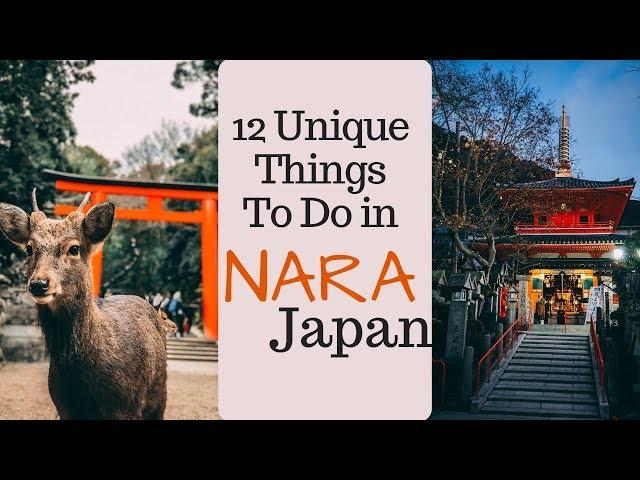 NARA JAPAN TRAVEL GUIDE // 12 UNIQUE Things To Do in Nara