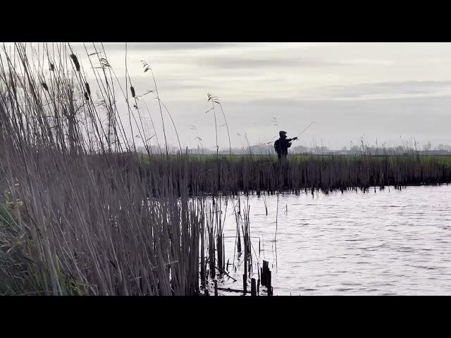 Fishing in the flooded polder.