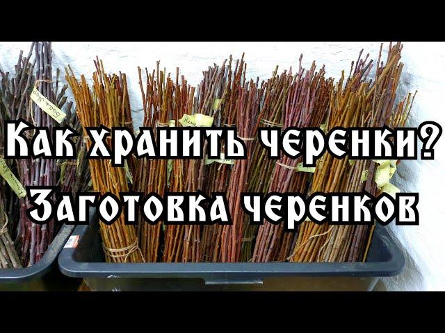 ОТКРЫТ ПРИЁМ ЗАКАЗОВ НА ЧЕРЕНКИ!!!