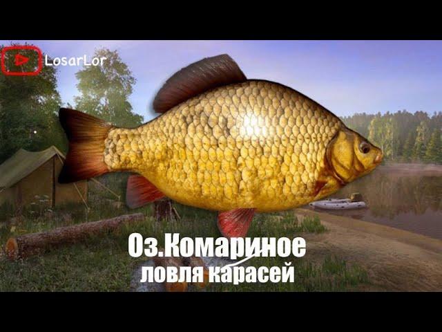 Ловля карася на Оз.Комариное.Трофеи???? Russian fishing 4