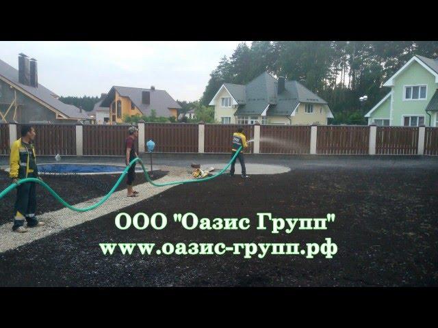 Озеленение и благоустройство ООО "Оазис Групп"