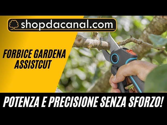 Forbice Gardena AssistCut: Precisione e Comfort per Ogni Taglio!