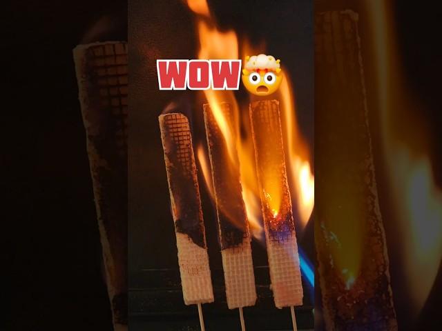 LIGHTER  VS WAFERS ! #shorts #subscribe #satisfying #burntest #experiment #fire #funny #lighter