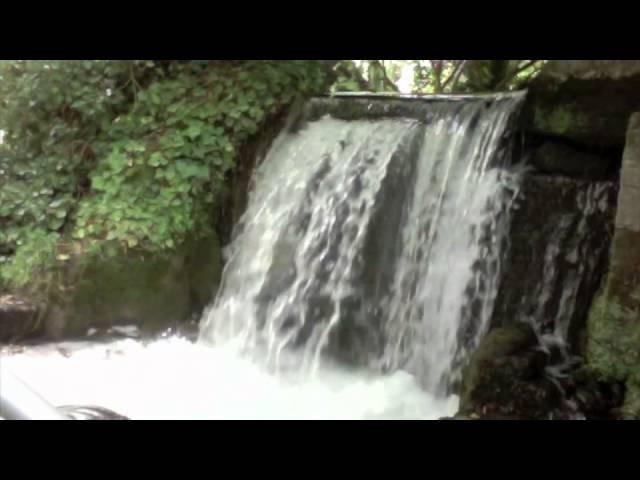 Health, Wealth, Happiness and Love meditation
