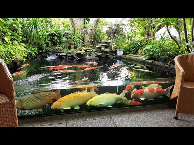 Garden Designs | TOP 3 MOST BEAUTIFUL BACKYARD FISH PONDS IN THE WORLD