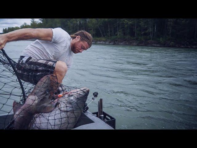 Giant 60 Pound King Salmon Almost Knocks Guy in Water