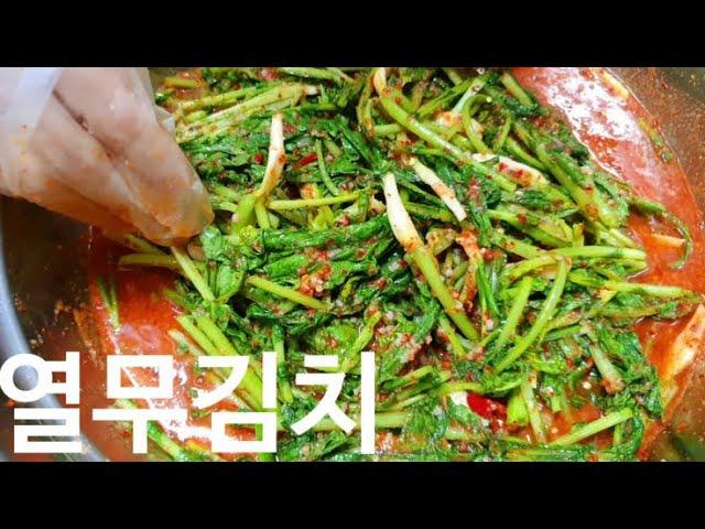 열무김치 황금레시피 - 시원하게 여름을 나는 열무김치 맛있게 담는법
