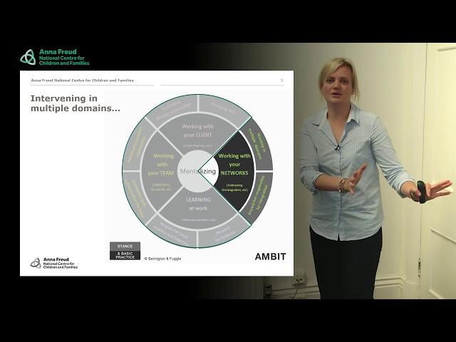 AMBIT - Complexity and Dis-integration