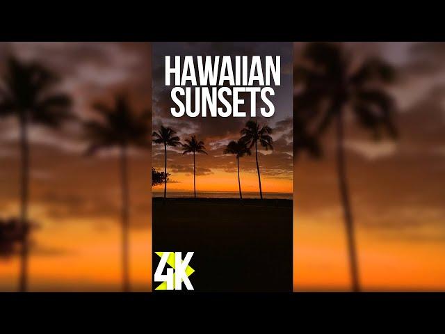 Amazing Ocean Views at the Sunset for Vertical Screens - 4K Stunning Scenes of Oahu Island, Hawaii