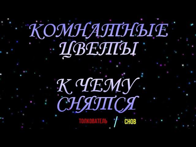 ТОЛКОВАТЕЛЬ СНОВ ~ КОМНАТНЫЕ ЦВЕТЫ ВО СНЕ, К ЧЕМУ СНЯТСЯ  СОННИК YOUTUBE. 