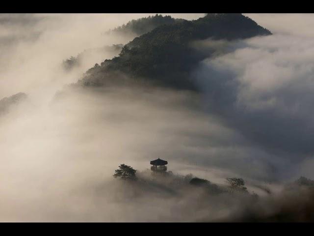 Secluded Cultivation (Asian) | Julian Fung