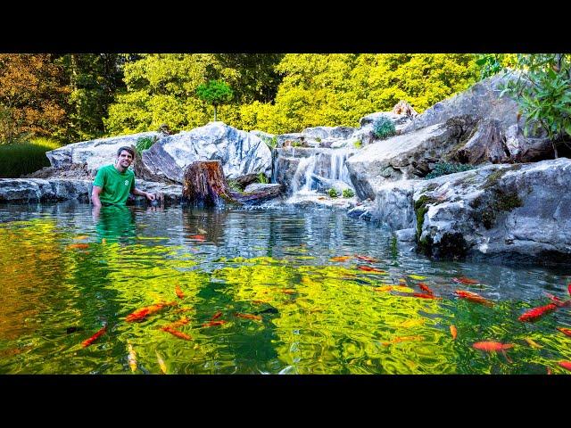 Making a Serene Waterfalls Mini Ecosystem Lake (Feeder Goldfish Sanctuary)