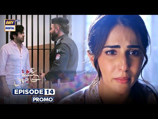 Aye Ishq e Junoon Episode 14 | Promo | Ushna Shah | Sheheryar Munawar | ARY Digital