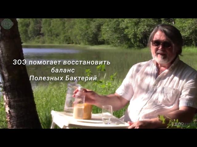 Полноценная еда с эликсиром ЗОЭ