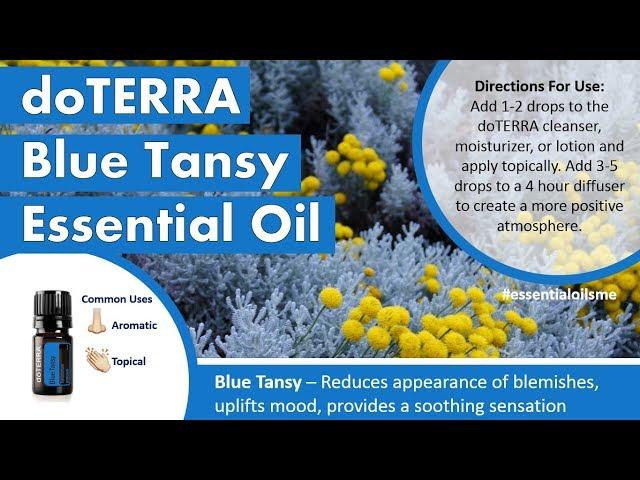 Amazing doTERRA Blue Tansy Essential Oil Benefits