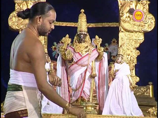 Sri Parthasarathi Swami Thirumanjanam