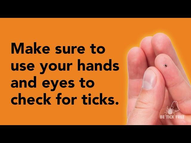 Know how to do tick checks