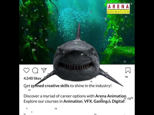 𝗔𝗿𝗲𝗻𝗮 𝗔𝗻𝗶𝗺𝗮𝘁𝗶𝗼𝗻.