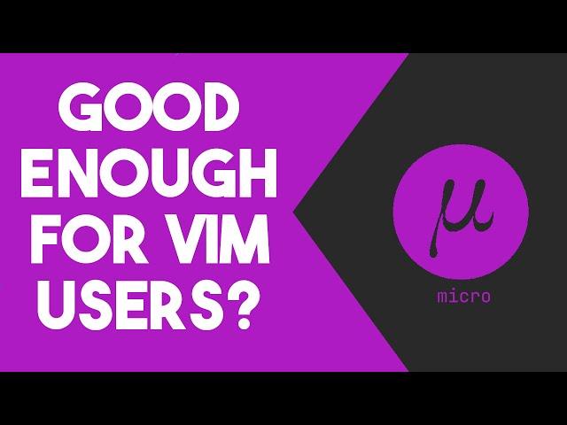 Micro Text Editor: Is It Any Good? - A Vim User's Perspective