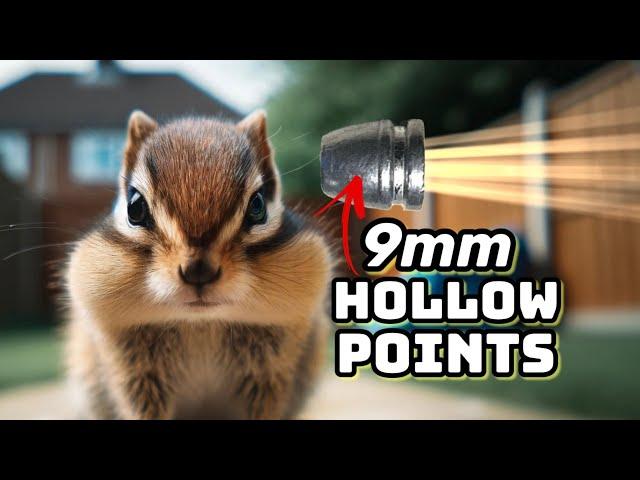 9mm Hollow Points vs. Chipmunks & Squirrels: Is It Overkill?