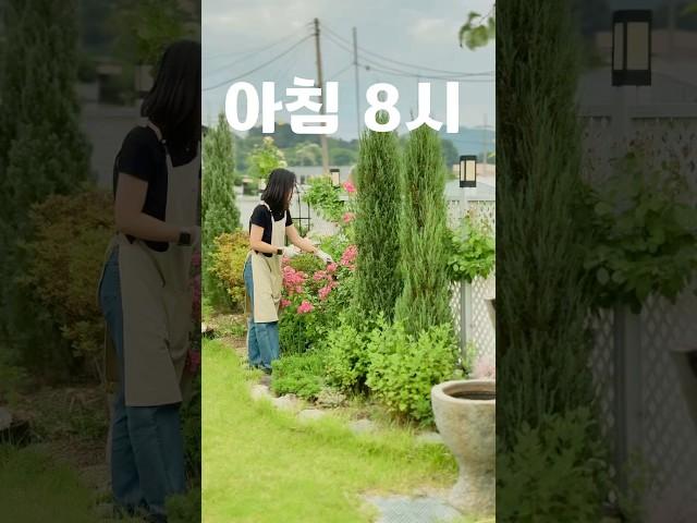 비 오는 날 마당이 있는 숙소의 분주한 아침