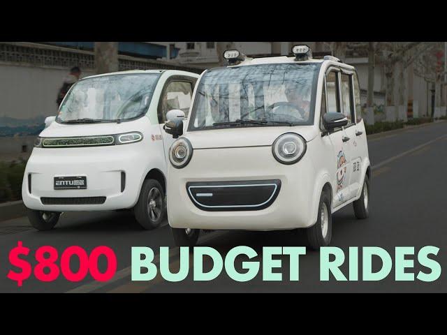 We rented two $800 Cheap Chinese EVs - Disaster?