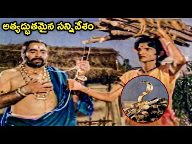 అత్యద్భుతమైన సన్నివేశం | Devotional Scene | Sri Yedukondala Swamy | Extraordinary Scene 2022 | Volga