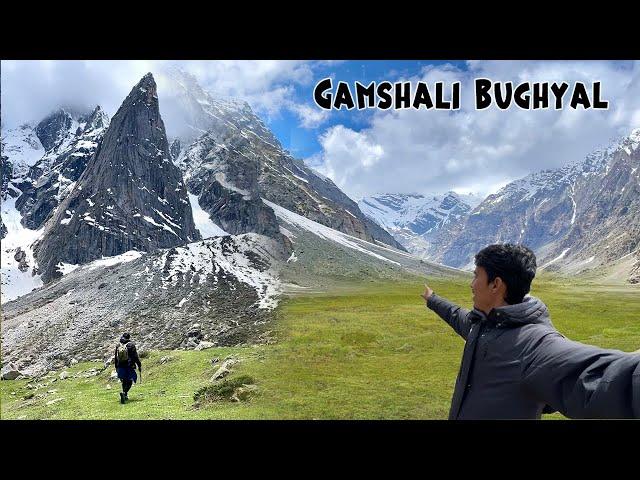 Uttarakhand ka सबसे खूबसूरत Hidden trek  Gamshali Bughyal | Niti Valley ep 04  | Travel Bug