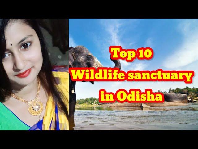 Top 10 wildlife sanctuary in Odisha,Odisha tourism,