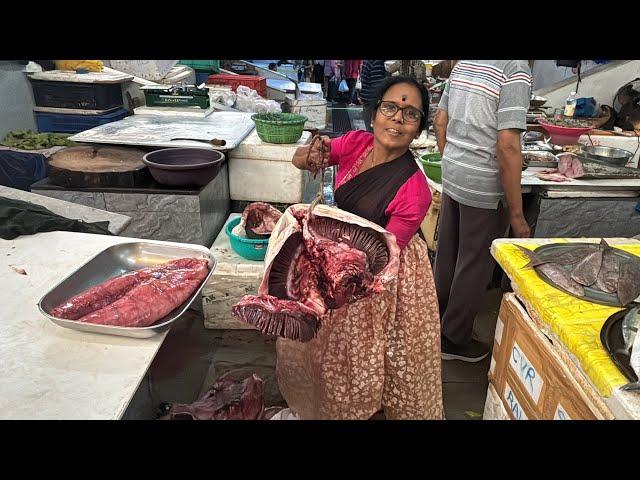 Diwale Fish Market #42kg सकलामासा कापताना निघाली #2kg गाबोली  #Fish market ️