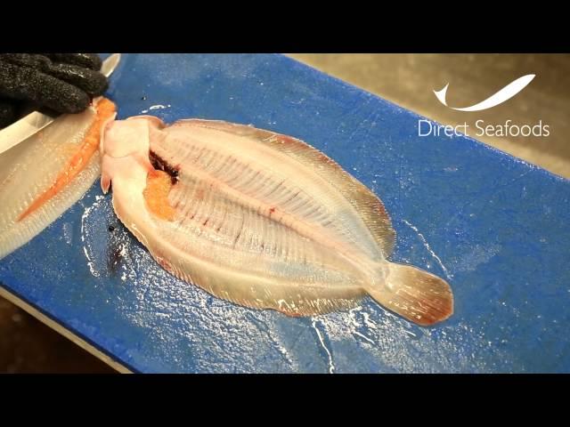 Direct Seafoods: How to Fillet a Lemon Sole (Flat Fish)