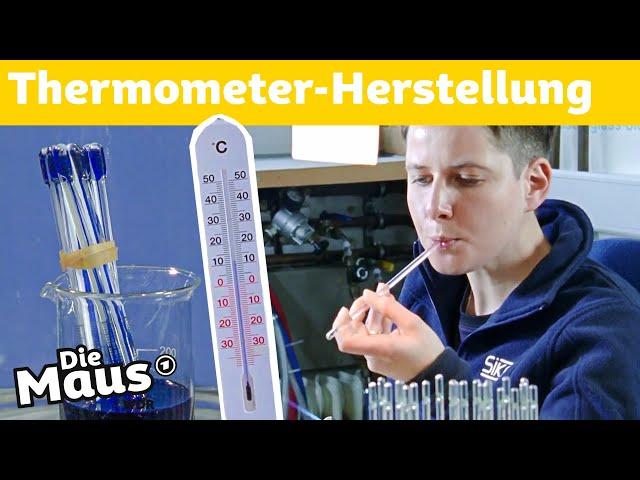 Thermometer | DieMaus | WDR