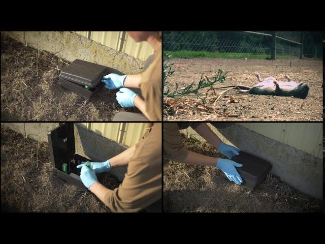 Rodent Control Video - Rodenticide