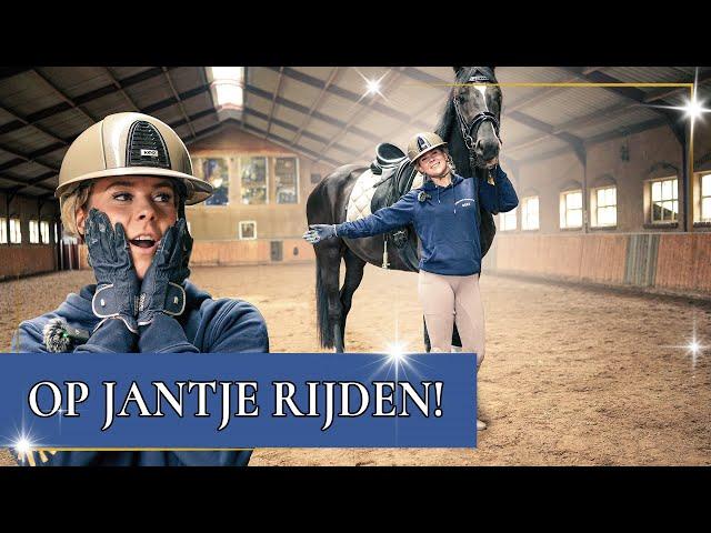 Zo train ik mijn jonge paarden!! | PaardenpraatTV