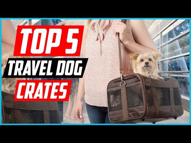 Top 5 Best Travel Dog Crates in 2024